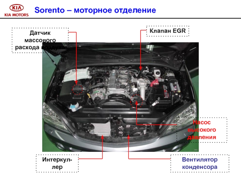 Подкапотное пространство киа рио 3 схема