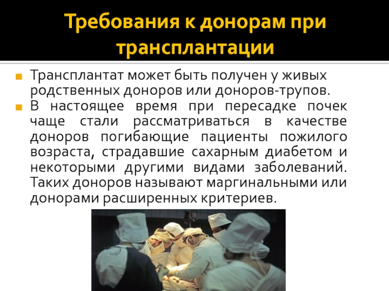 Трансплантация почек презентация