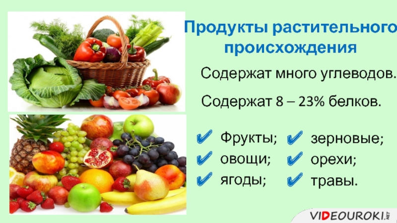 В растительных продуктах где. Пища растительного происхождения. Растительное происхождение. Продукты питания растительного происхождения. Продукты растительного и животного происхождения.