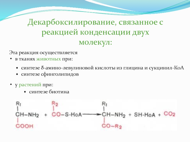 Декарбоксилирование аминокислот реакция. Декарбоксилирование треонина реакция. 2-Аминопропановой кислоты декарбоксилирование. Декарбоксилирование аминопропановой кислоты. Реакция декарбоксилирования аминокислот.