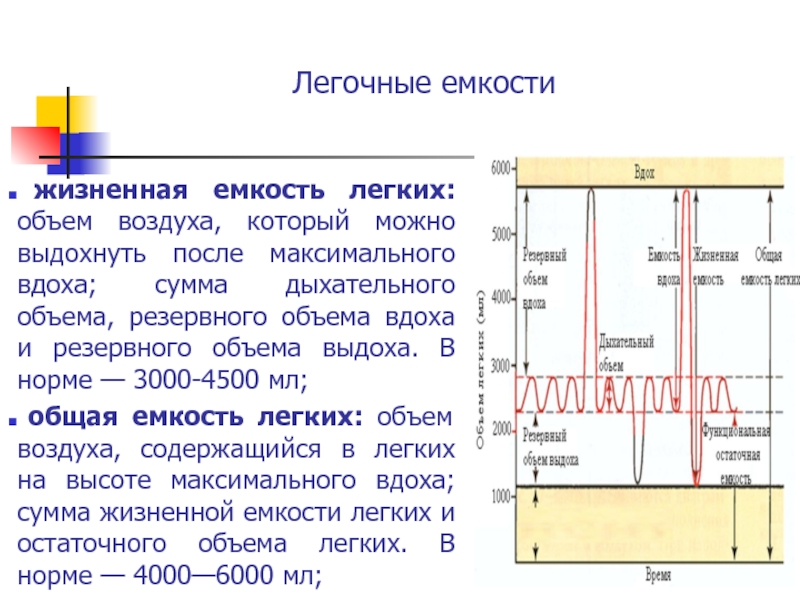 Рассмотрите рисунок с изображением функционального деления общей емкости легких как называется