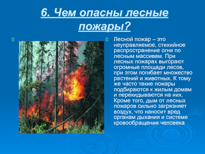 Лесные пожары 2 класс. Опасность пожара в лесу. Чем опасны Лесные пожары. Пожар для презентации. Презентация на тему Лесные пожары.