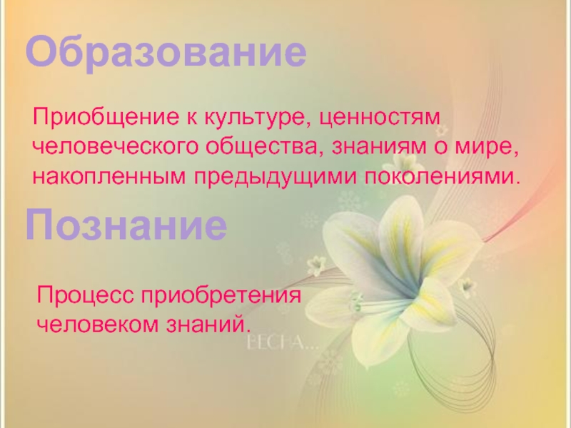 Приобщение человека к знаниям накопленным обществом. Приобщение к культуре ценностям человеческого общества. Процесс приобщения к культуре ценностям человеческого. Процесс приобщения к ценностям человеческого общества знаниям.