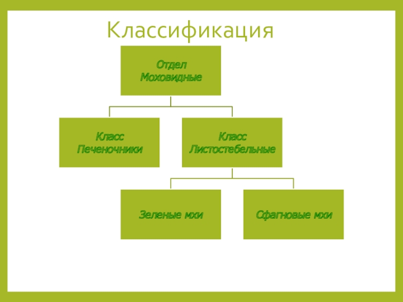 Проект классификация растений