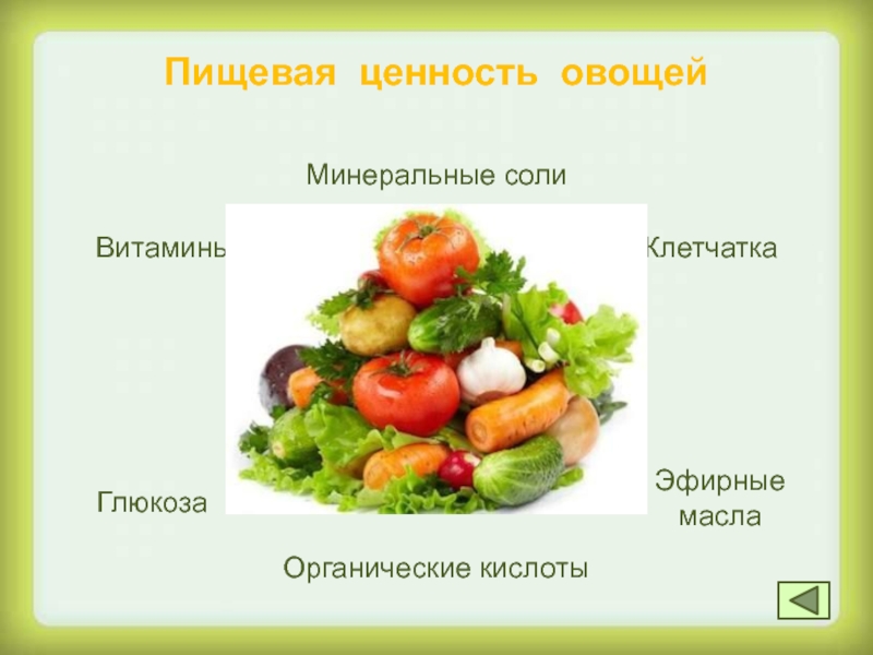 Питательные вещества овощей. Пищевая ценность плодовых овощей. Пищевая ценностььовощей. Пищевая и биологическая ценность овощей. Ценность овощей и фруктов.