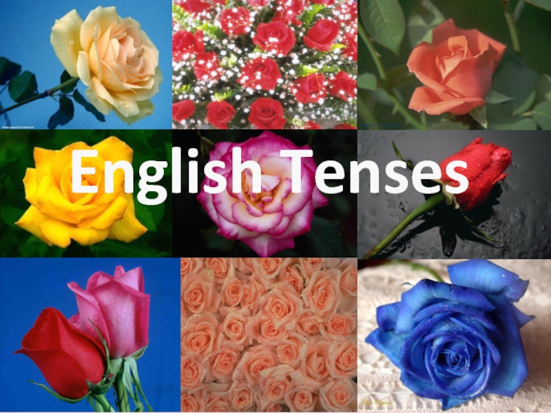 Презентация English Tenses