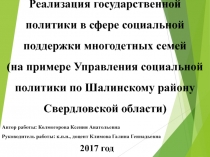 Реализация государственной политики в сфере социальной поддержки многодетных