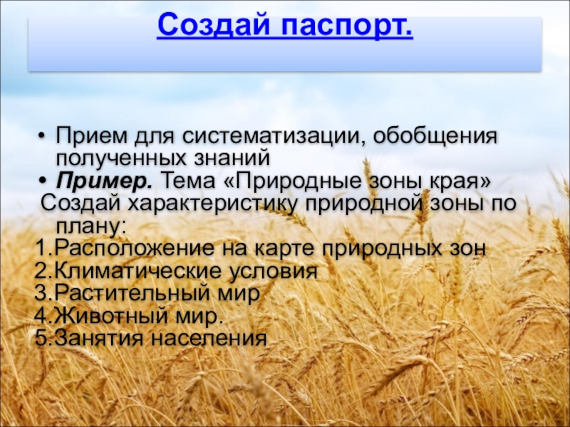 Создание характеристика. Создай паспорт прием пример. Приём “Создай паспорт” математика. Прием паспорт литературного героя. . Приём “Создай паспорт героя”(.