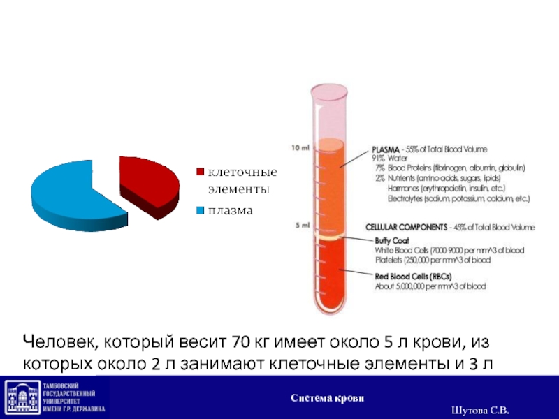 Л кро. Система крови. Сколько л крови в крови. Плазма из крови. Два литра крови.