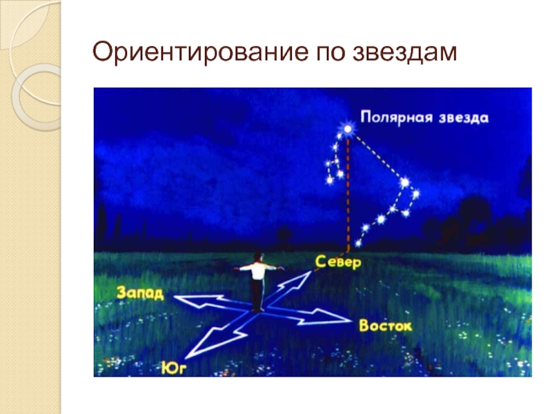 Полярная звезда презентация