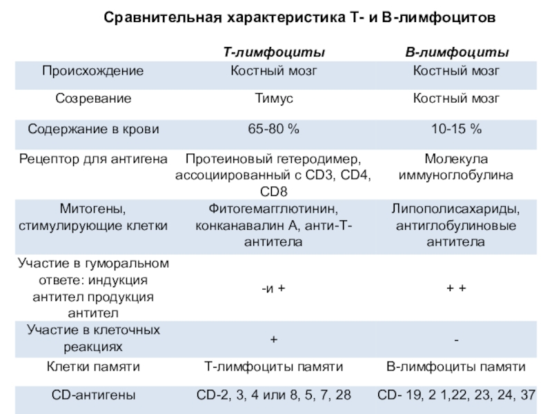 Характеристика т