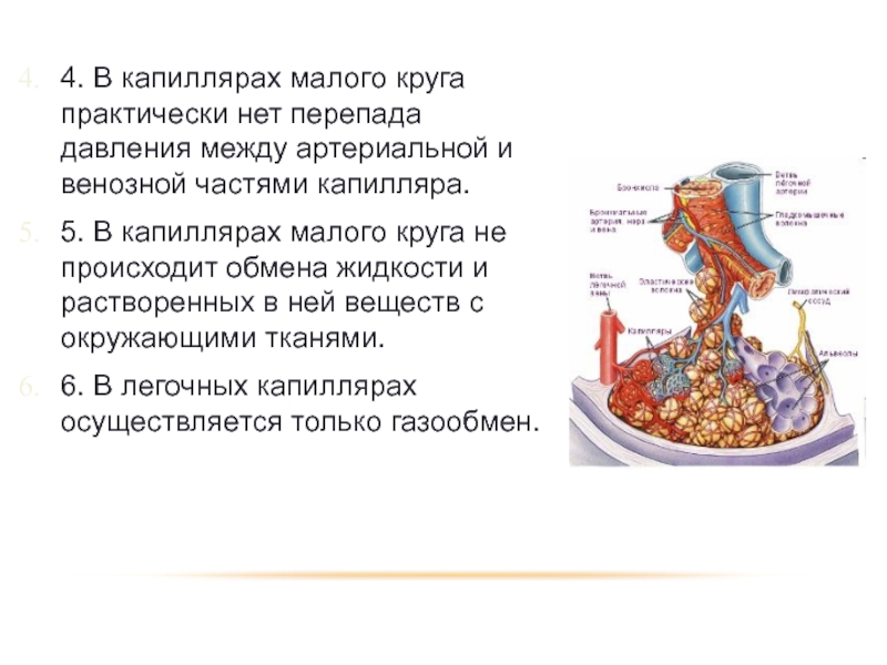 В капиллярах происходит