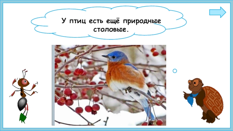 Презентация птицы зимой 1 класс. Птицы как проверить ы на конце. Как помочь птицам зимой 1 класс окружающий мир тест с ответами. Спасибо Алисочка я теперь больше знаю о птицах. Отметь многозначные слова учи ру Снегирь синица река рукавица.