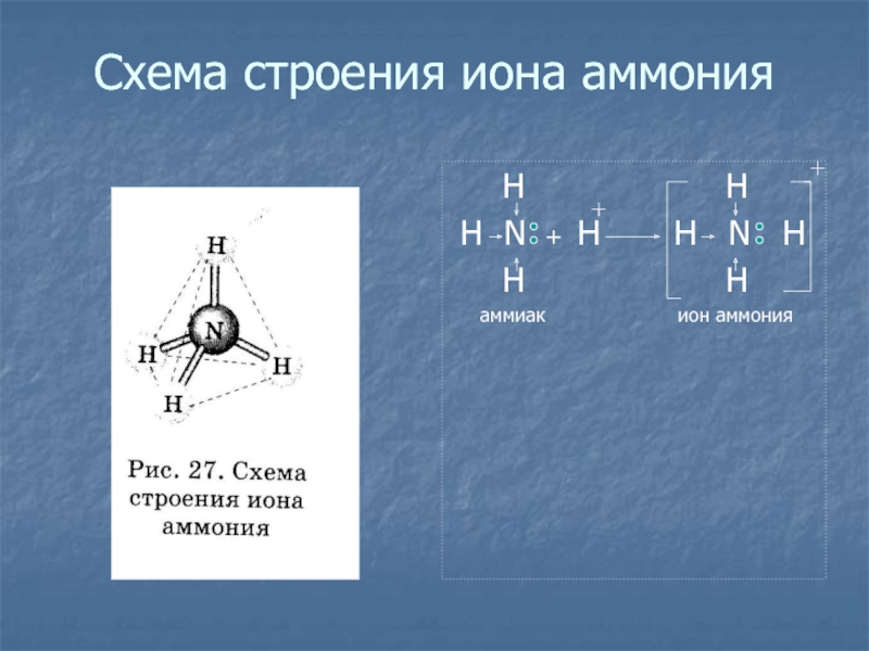 Строение ионна. Строение Иона аммония. Схема образования Иона аммония. Пространственное строение Иона аммония. Структурная формула Иона аммония.