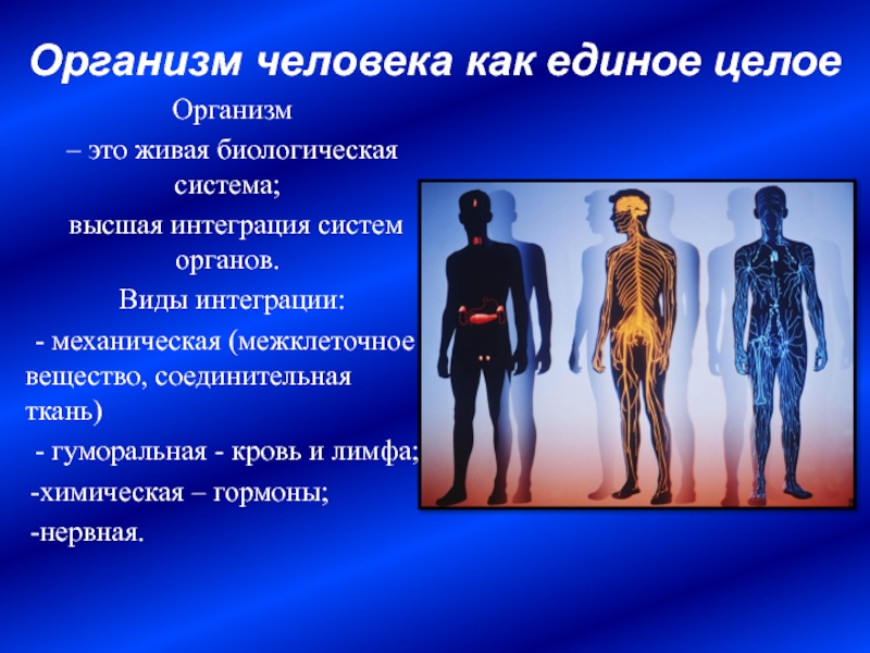 Почему тело человека. Организм человека. Системы организма человека. Организм единое целое. Организм человека биологическая система.