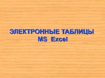 ЭЛЕКТРОННЫЕ ТАБЛИЦЫ MS Excel
