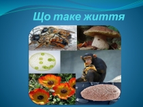 Що таке життя