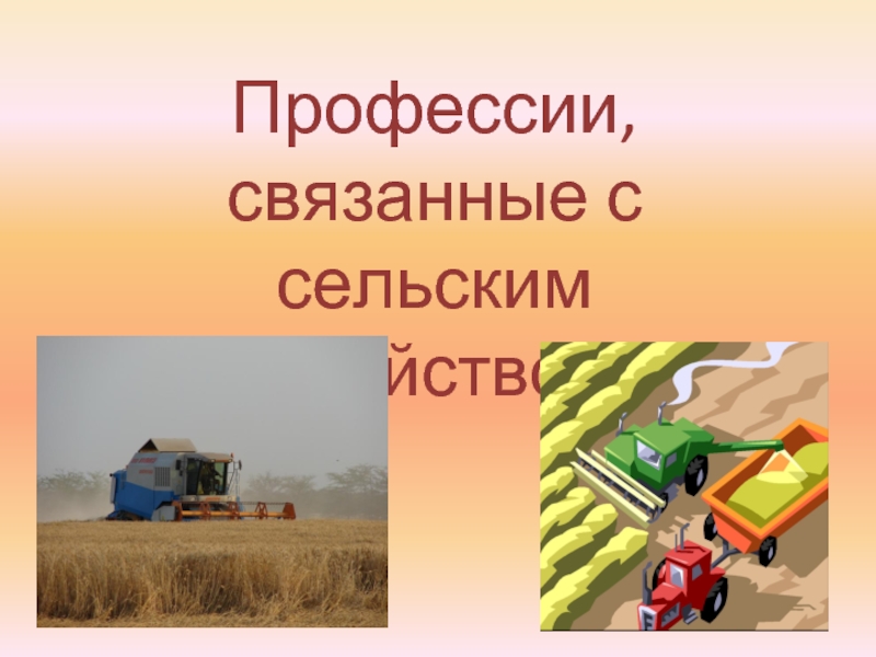 Презентация Профессии, связанные с сельским хозяйством