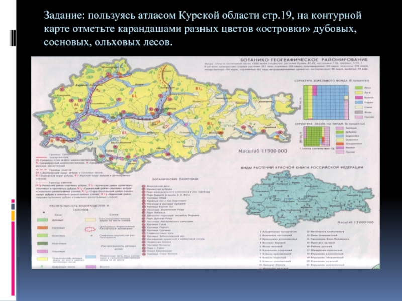 Климат белгородской области презентация