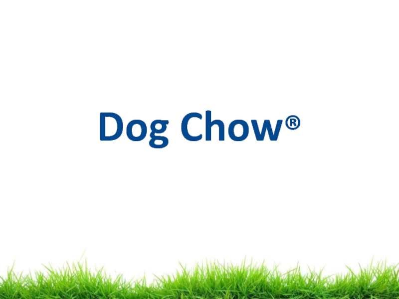 Dog Chow ®