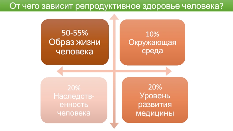 Проект на тему репродуктивное здоровье человека