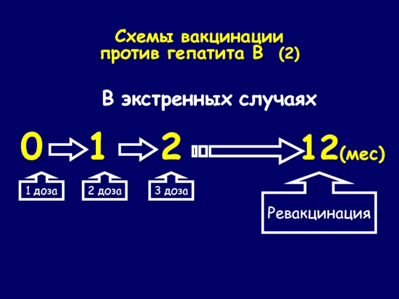 Экстренная вакцинация против гепатита в проводится по схеме