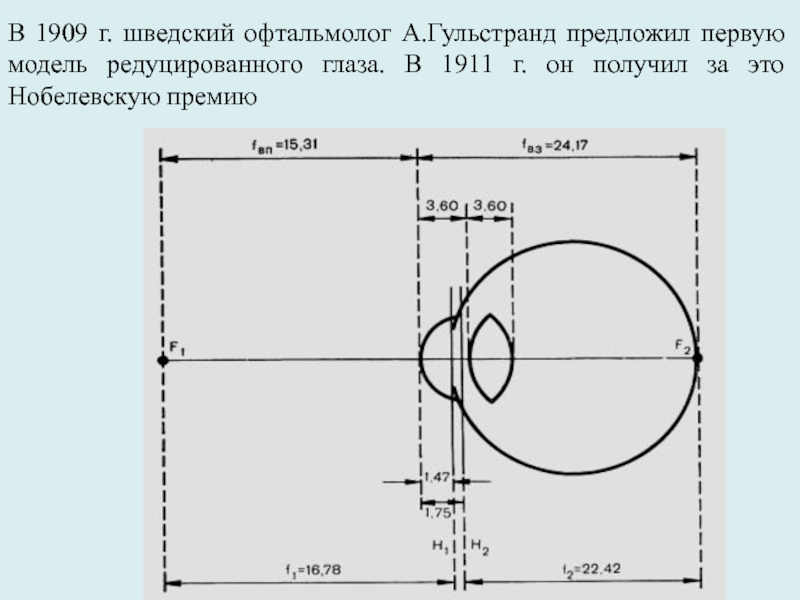 Редуцированный глаз схема