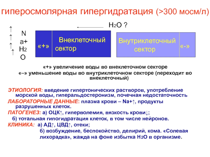 Гипергидратация патогенез. Гиперосмолярная гипергидратация патогенез. Гипорсмалтная гипергидратация. Патогенез гипергидратации. Гипергидратация этиология патогенез.