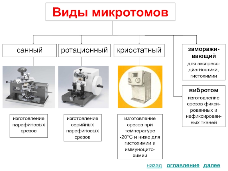 Санный микротом рисунок