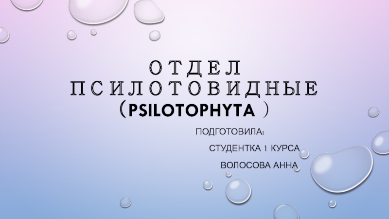 Презентация Отдел Псилотовидные ( Psilotophyta )