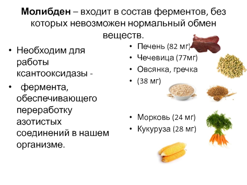 В состав ферментов входят