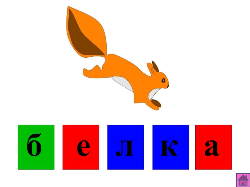 Белка схема к слову