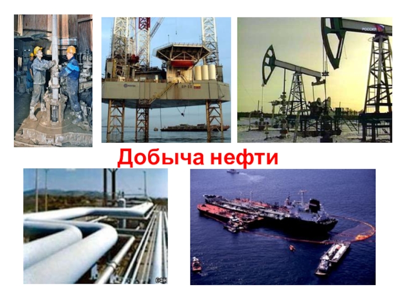 Проект нефть 9 класс