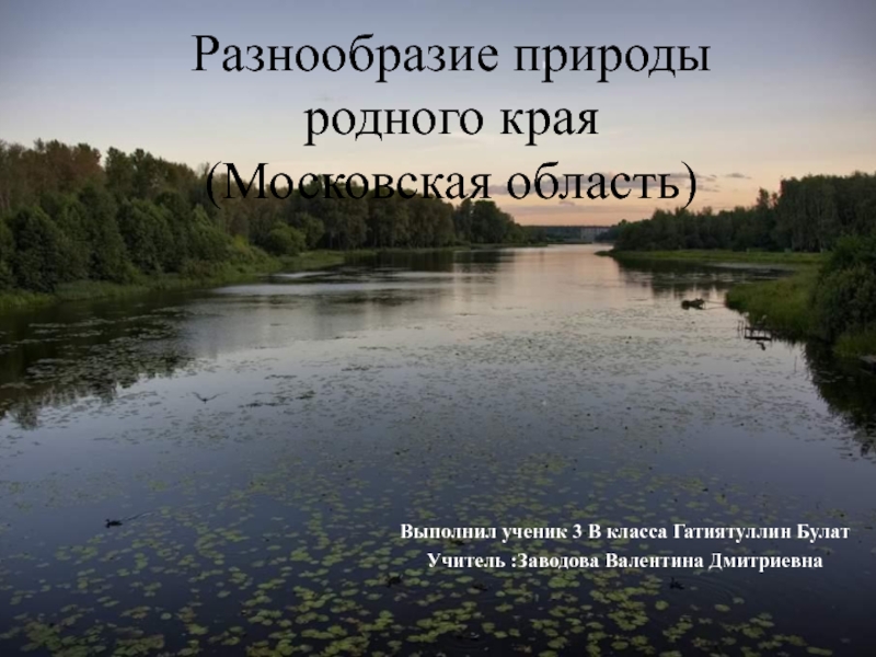 Презентация Разнообразие природы родного края (Московская область) 3 класс