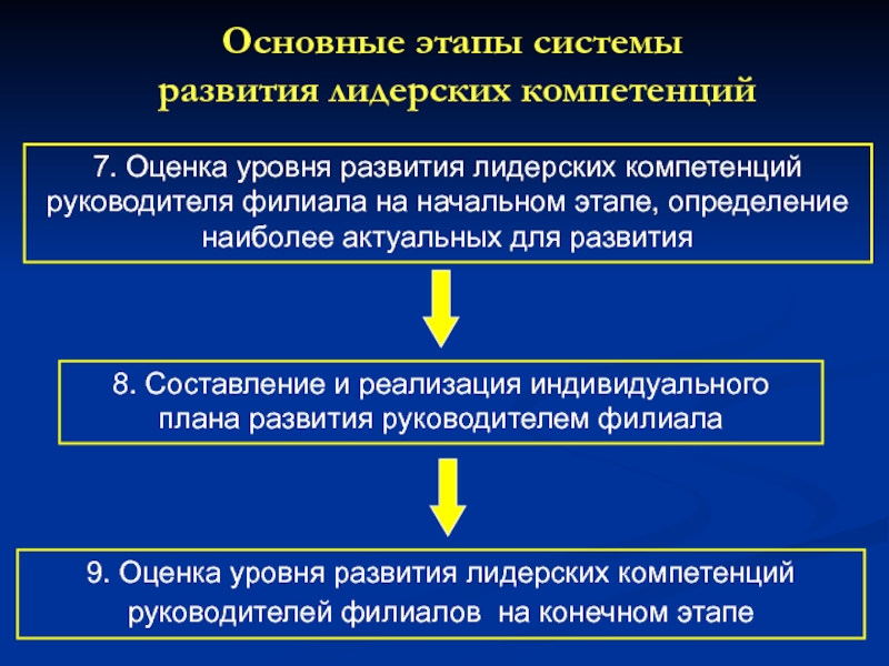 Полномочия руководителя проекта