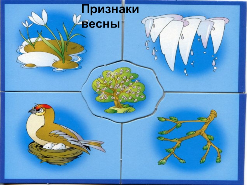 Весна признаки весны картинки для детей в детском саду