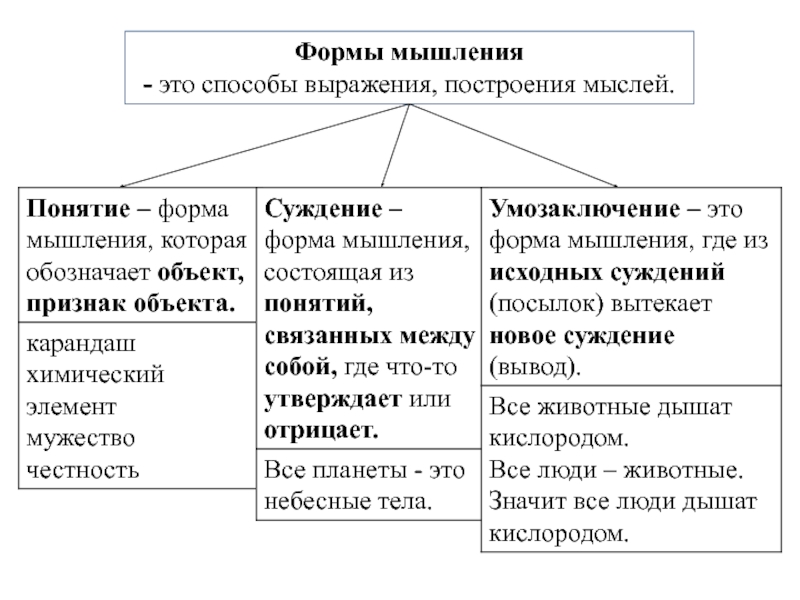 Виды мышления презентация