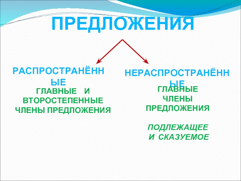 По наличию второстепенных членов предложения распространенное нераспространенное