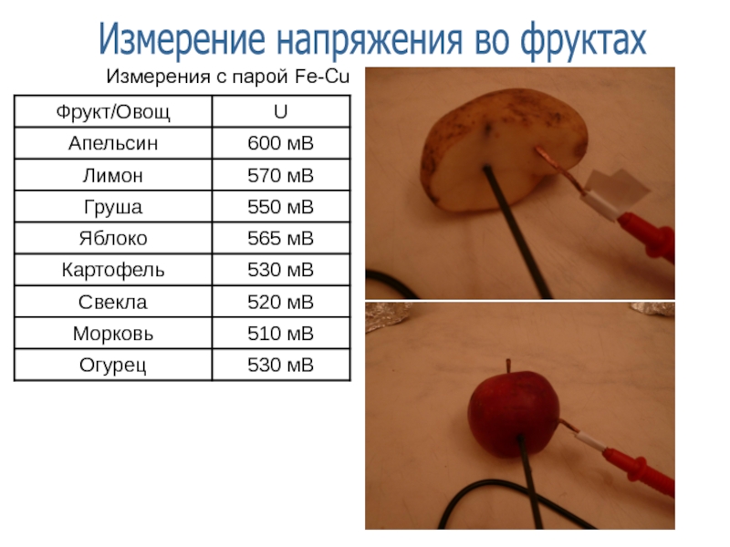 Сила тока в овощах и фруктах проект