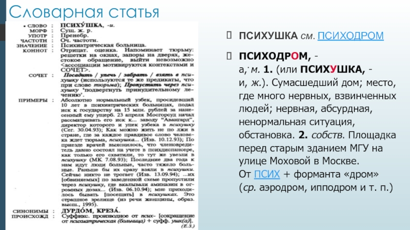 Проект словарь одного слова 6 класс русский язык