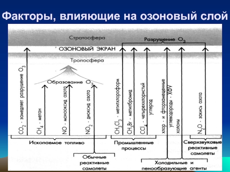 Функциональная грамотность озоновый слой