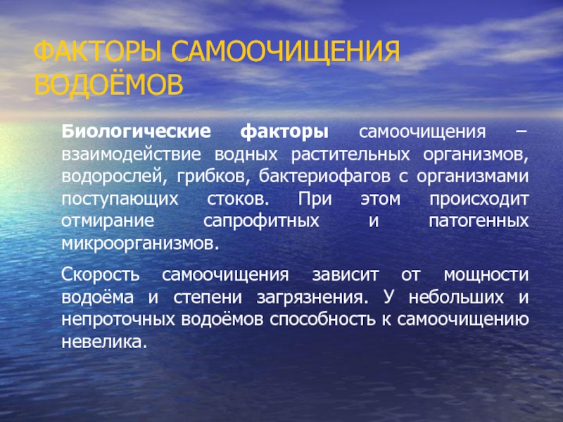 Фактор вода. Биологическое самоочищение водоемов. Самоочищение воды в водоемах. Факторы самоочищения водоемов. Биологические факторы самоочищения водоемов.