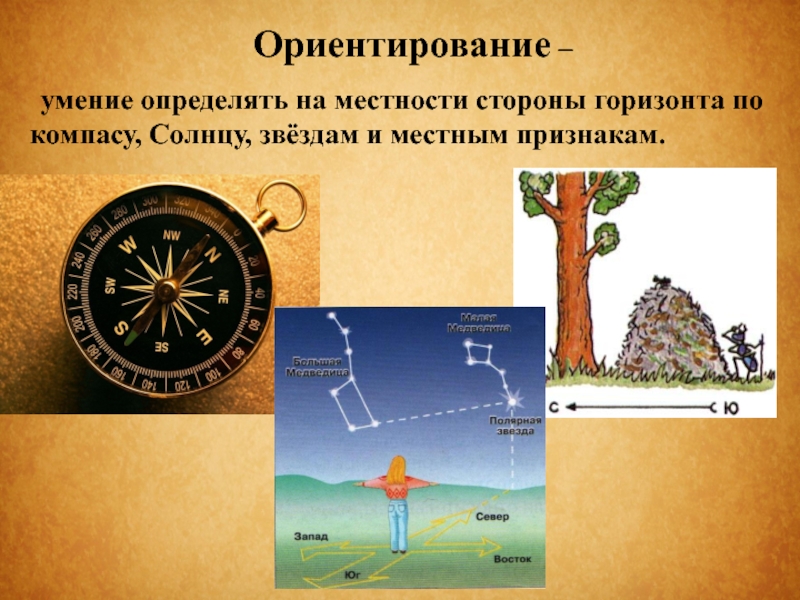 Ориентирование на местности 2 класс окружающий мир презентация школа россии