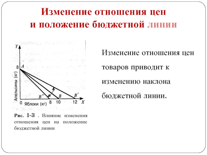 Доклад: Бюджетные линии