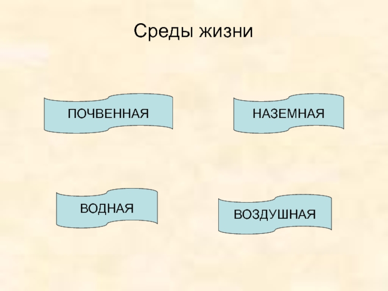 Среды жизни водная воздушная почвенная