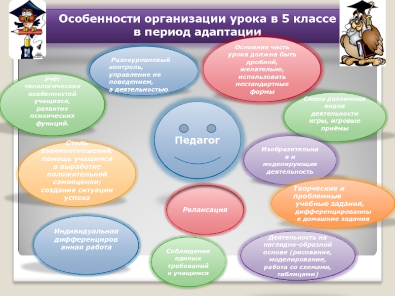 Мероприятия по организации класса