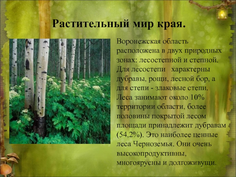 Проект окружающий мир разнообразие природы воронежского края