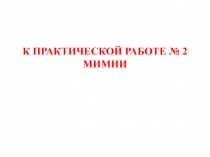 К ПРАКТИЧЕСКОЙ РАБОТЕ № 2 МИМНИ