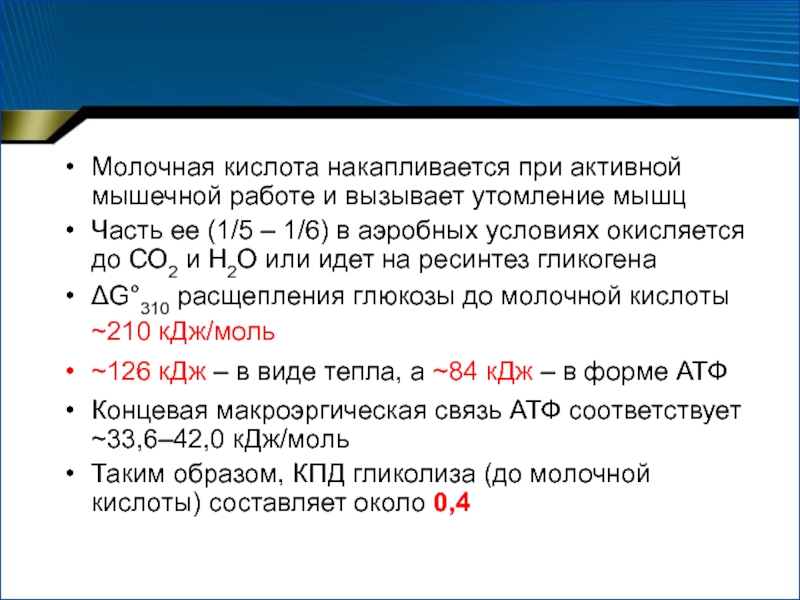 Как быстрее вывести молочную кислоту из мышц. Почему в мышцах накапливается молочная кислота. Как молочная кислота связана с утомляемостью мышц. Процесс образования молочной кислоты в мышцах. Почему накапливается молочная кислота.