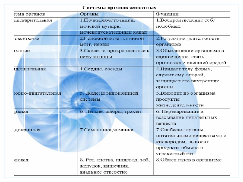 Биология организм единое целое. Организм как единое целое таблица. Органы единое целое таблица. Таблица по биологии организм единое целое. Организм единое целое многообразие организмов таблица.